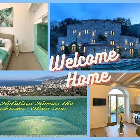 Holidays Homes The Dream Sant'Agnello Εξωτερικό φωτογραφία