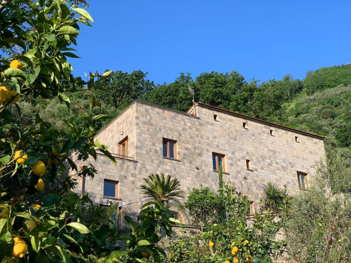 Holidays Homes The Dream Sant'Agnello Εξωτερικό φωτογραφία