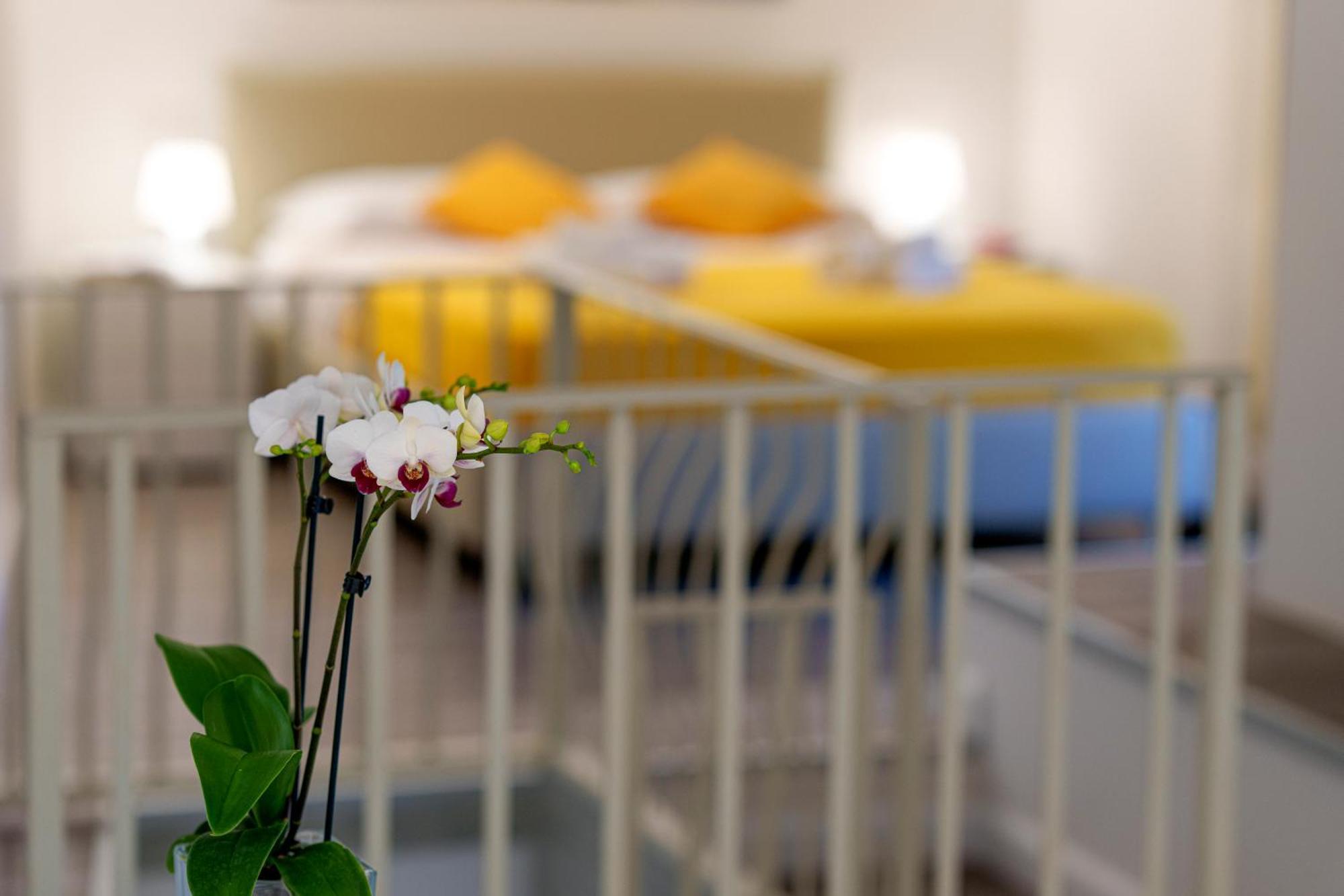 Holidays Homes The Dream Sant'Agnello Εξωτερικό φωτογραφία