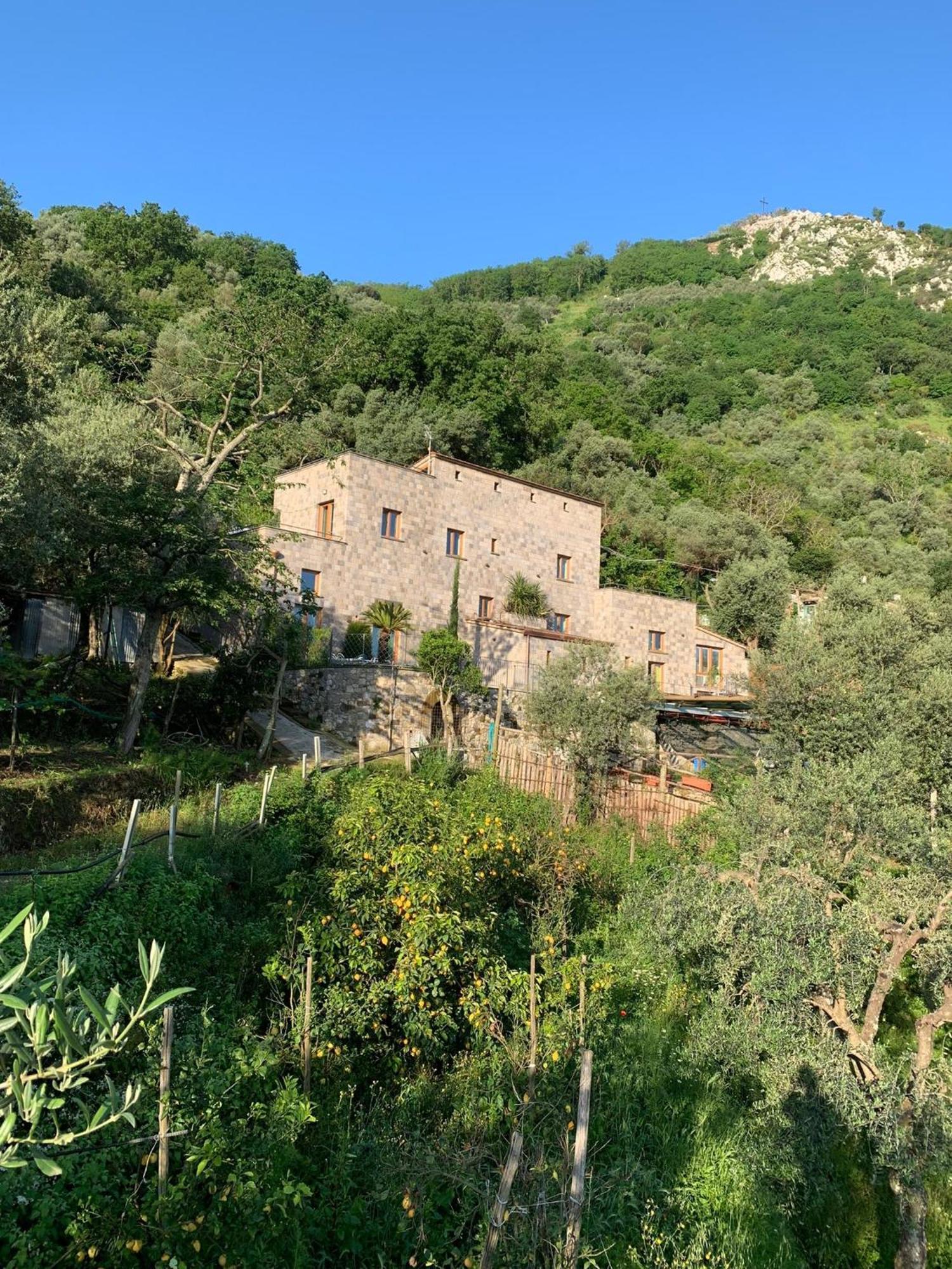 Holidays Homes The Dream Sant'Agnello Εξωτερικό φωτογραφία
