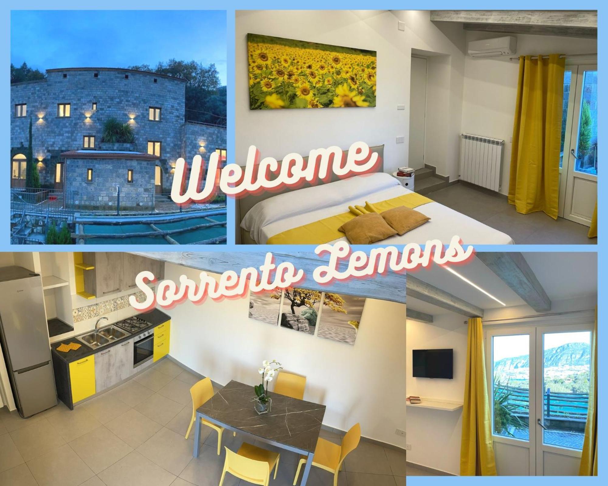 Holidays Homes The Dream Sant'Agnello Εξωτερικό φωτογραφία