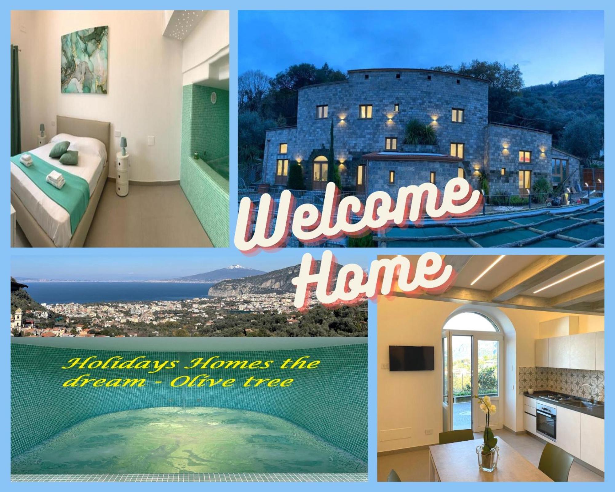 Holidays Homes The Dream Sant'Agnello Εξωτερικό φωτογραφία