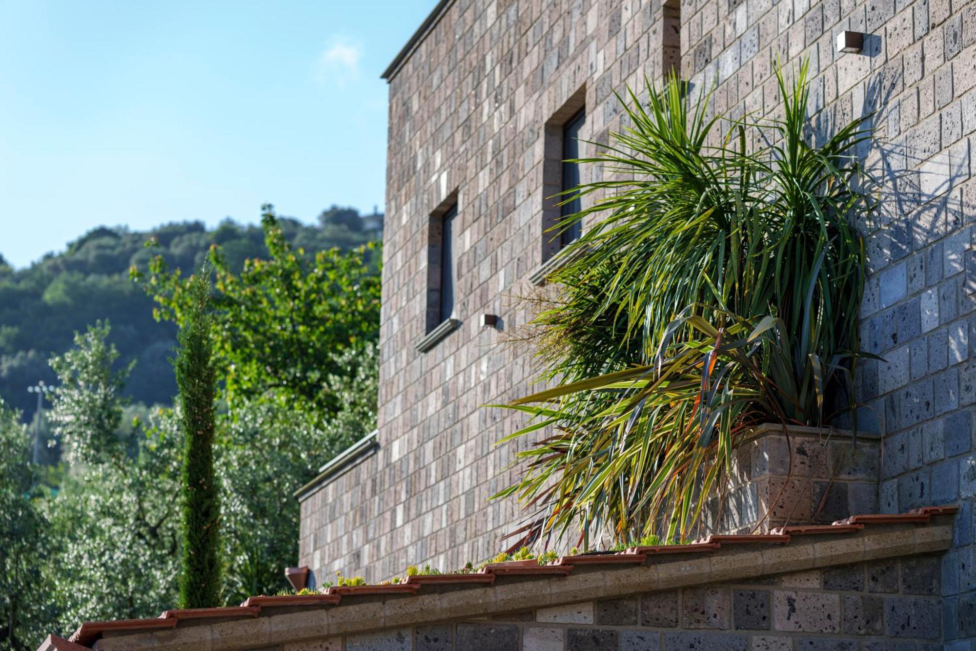 Holidays Homes The Dream Sant'Agnello Εξωτερικό φωτογραφία